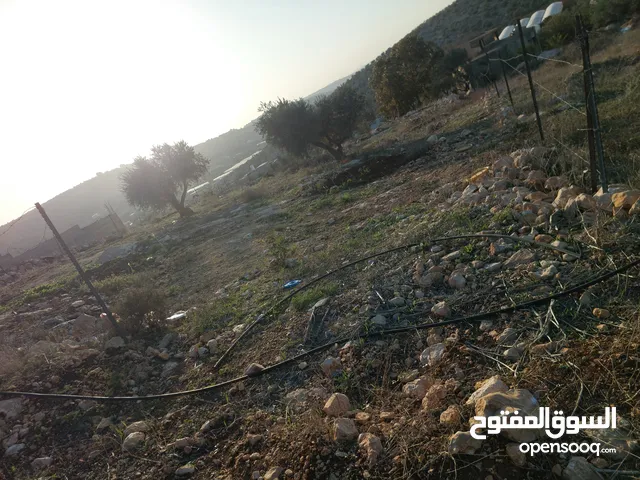 ارض على شارع رئسي بين الدير وأم التوت زيتون وللبناء جبلية وكاشفة