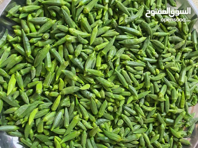 بامية خضراء اربد