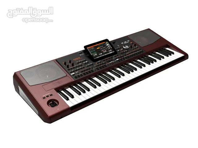 KORG PA1000