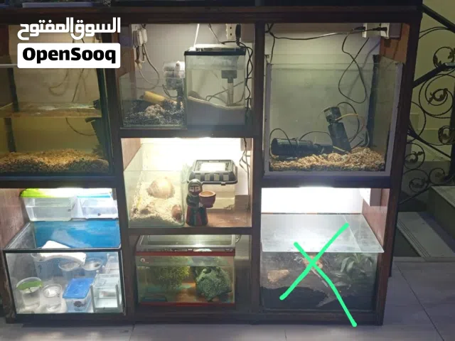 احواض سمك رفوف