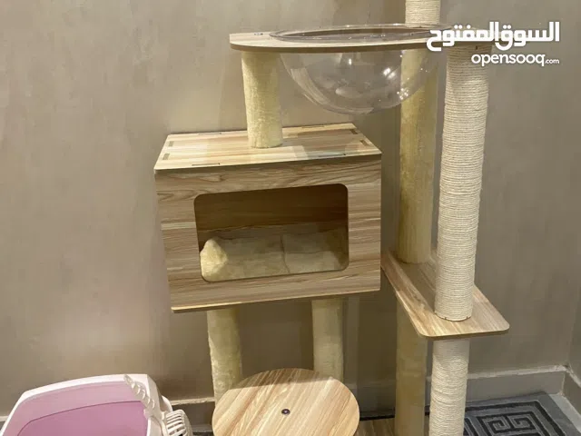 اغراض واحتياجات القطط