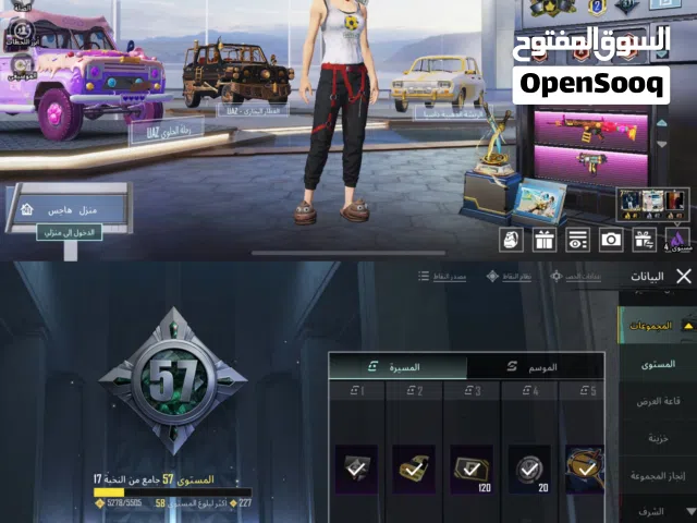 Pubg Accounts and Characters for Sale in Wasit