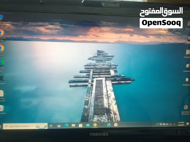 Toshiba Satellite L500