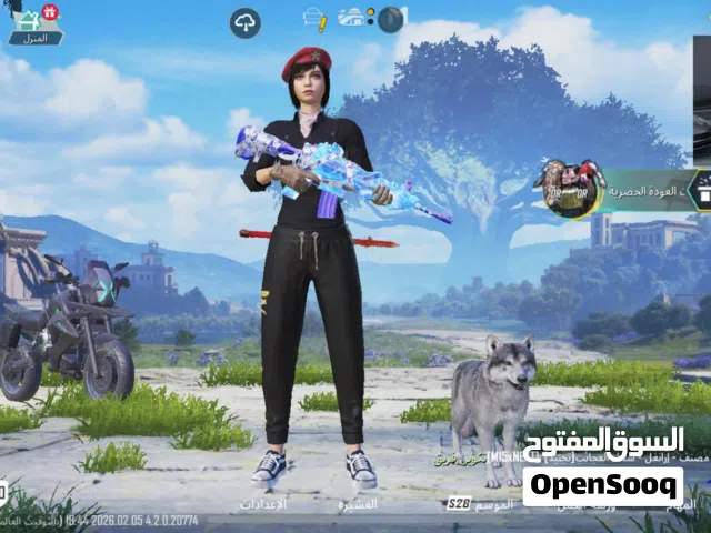حساب ببجي للبيع   و مناسب للكل الي يريد حياه خاص