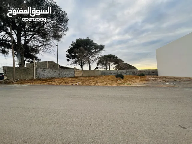 Commercial Land for Sale in Tripoli Al-Bivio