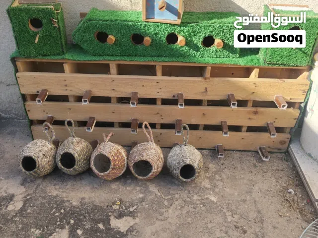 بقالات فناجس