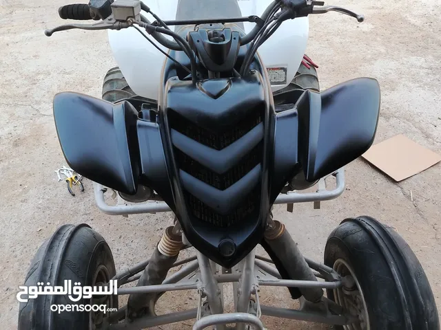 Yamaha 660 2007