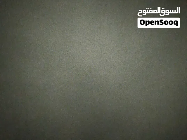 ببغاء كوكتيل زق يدوي عدد 2 بسعر مغري