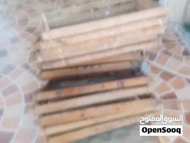 عاسلات نحل