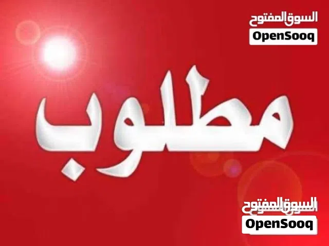 انثي كناري نيروج او لونق شاير