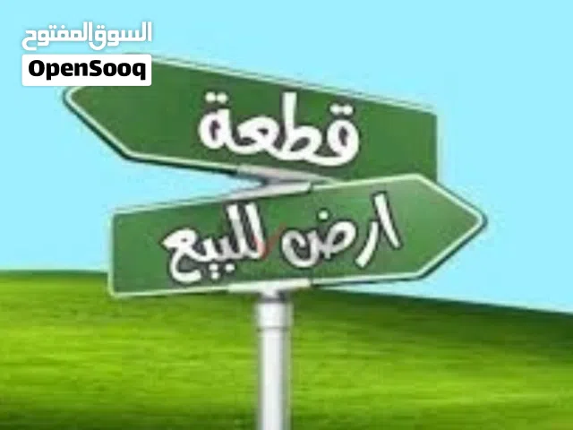 ارض فى الحليس