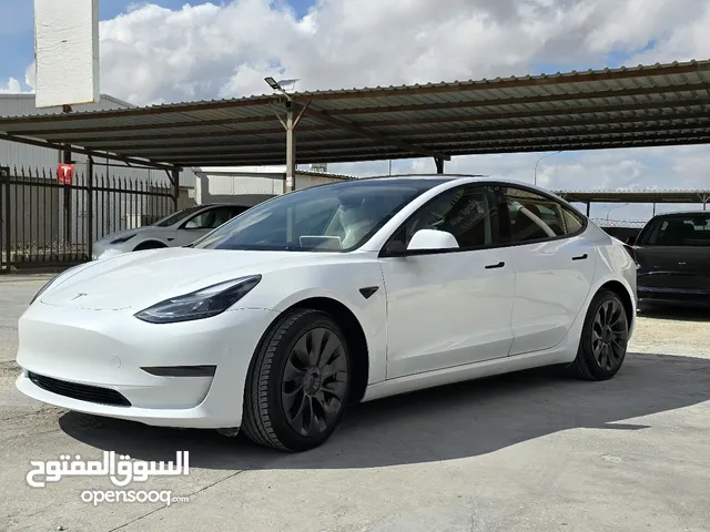 تيسلا 2021 ستاندر بلس Tesla