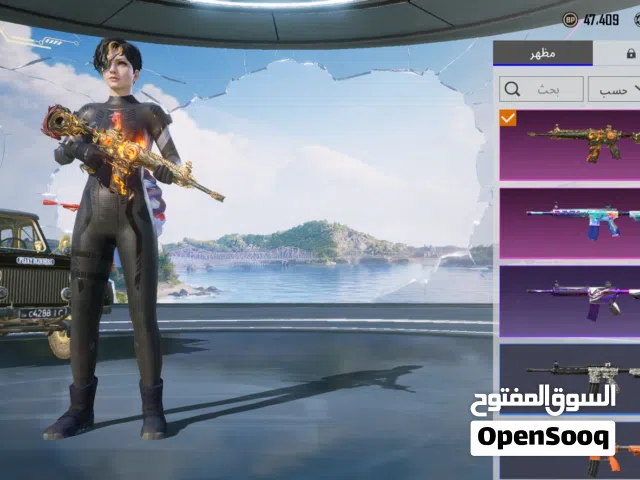 Pubg Accounts and Characters for Sale in Jenin