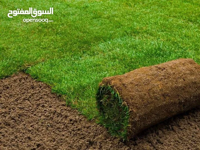 يوجد مبني للايجار مدرسه او معهد