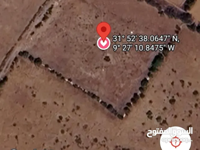 Farm Land for Sale in Essaouira Route de Safi