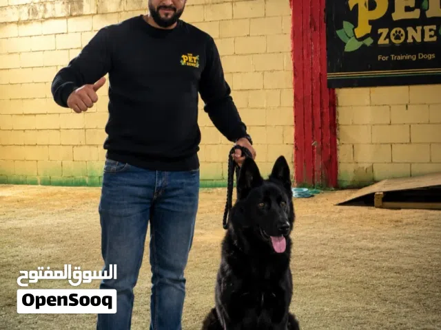 بت زون يوفر لأليفك   أكبر ساحات التدريب أكثر من 100 غرفه للإقامه الدائمه والمؤقته.