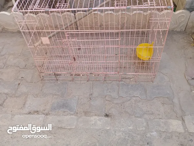قفص وبياضه للبيع