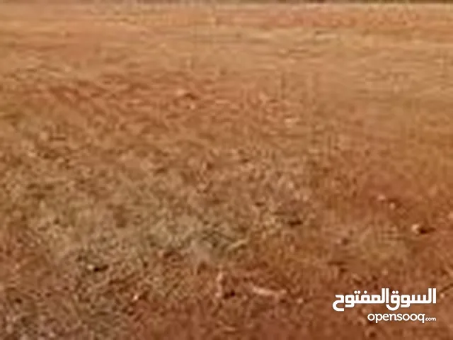 Mixed Use Land for Sale in Benghazi Baninah
