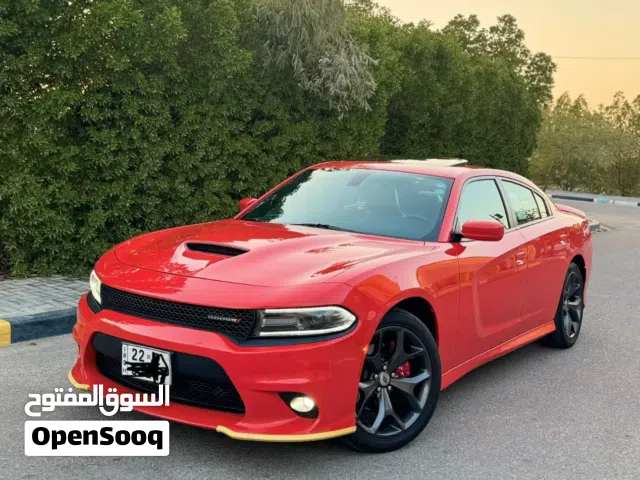 جارجر خليجي هارلم كفاله