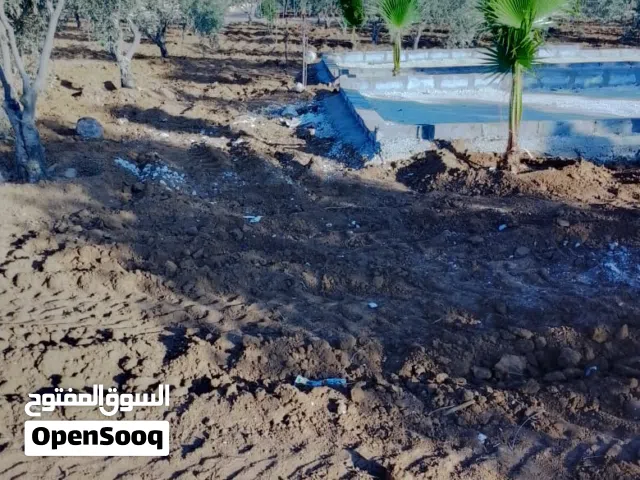 Farm Land for Sale in Madaba Umm Al Amad