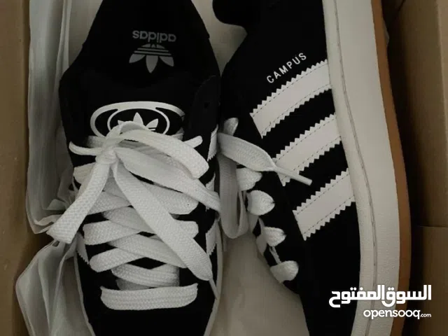 Adidas campus