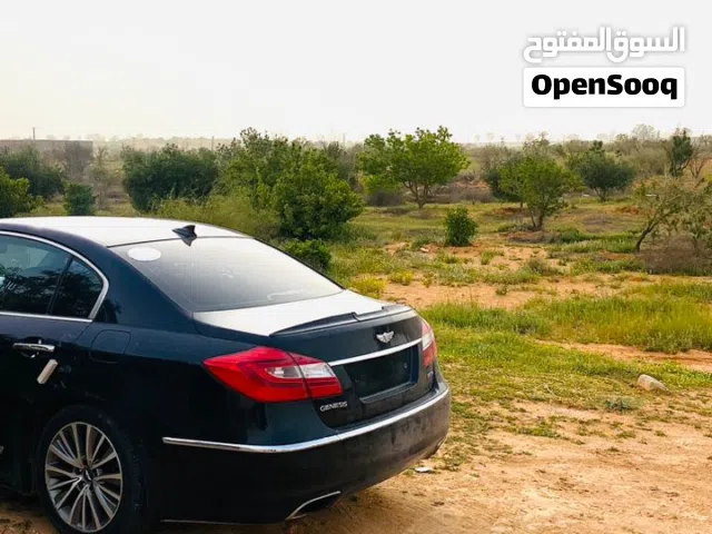 2013 جينيسيس اخرى