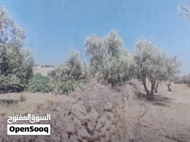 Farm Land for Sale in Jerash Other