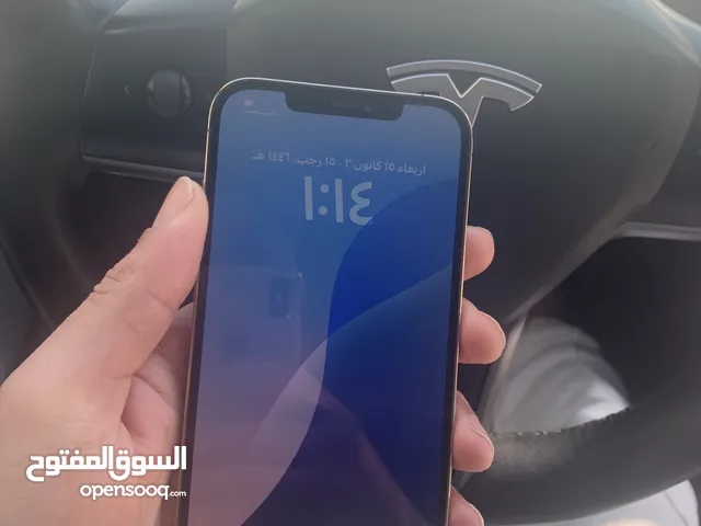 Apple iPhone 12 Pro Max 128 GB in Irbid