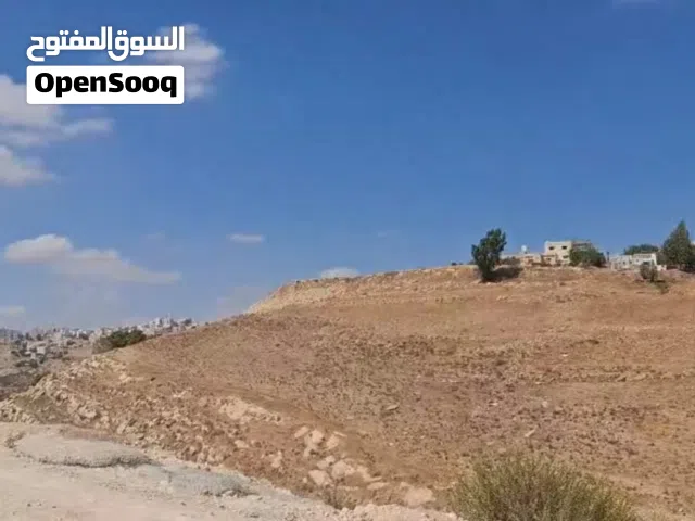Residential Land for Sale in Amman Marj El Hamam