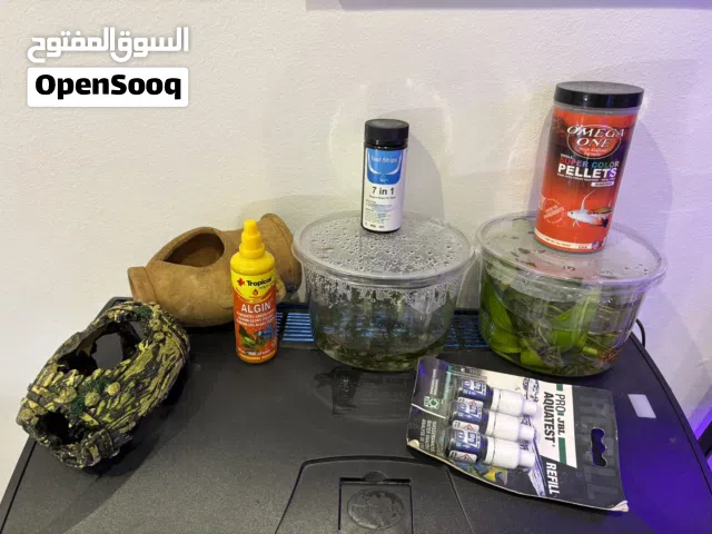 أسماك زينه/نبات/موس/ومستلزمات للبيع