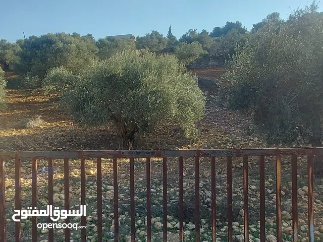 Mixed Use Land for Sale in Salt Zay