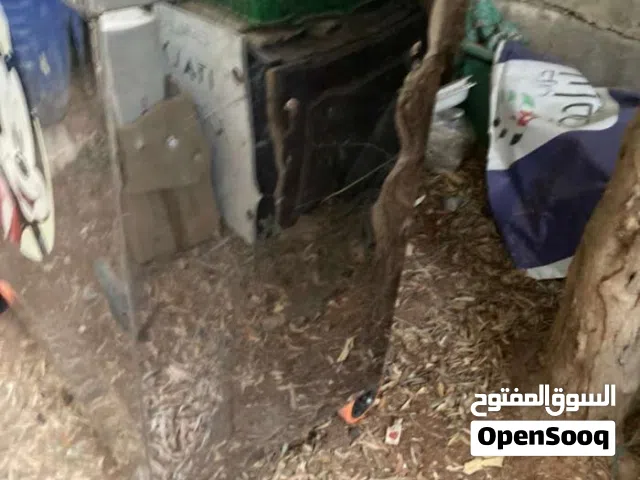 عربايه ذره للبيع