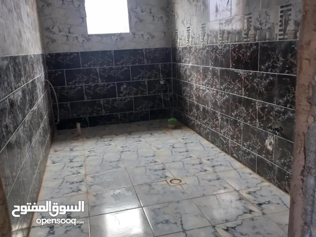 هيكل املعق ومشطب الموقع مثلت القيو يمين شارع جامع التوحيد قطران للمقسم