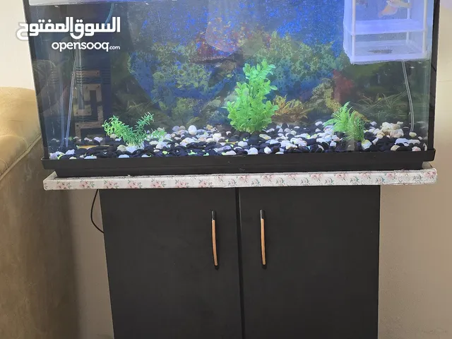 aquarium for sale