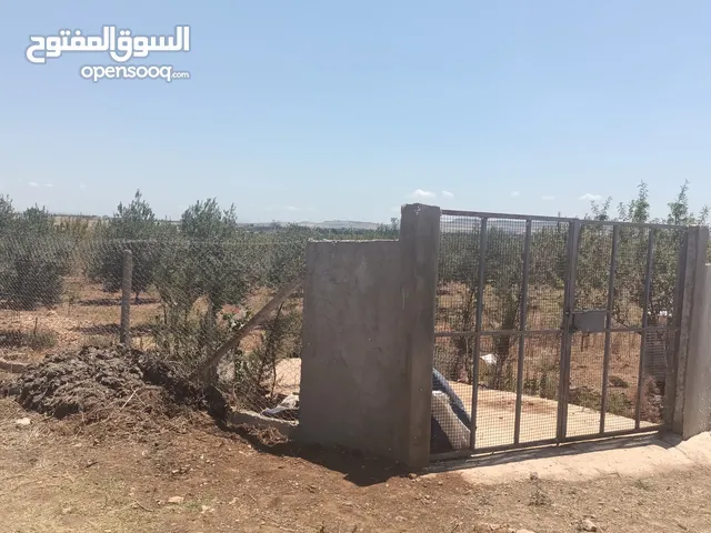 Farm Land for Sale in Tunis Other