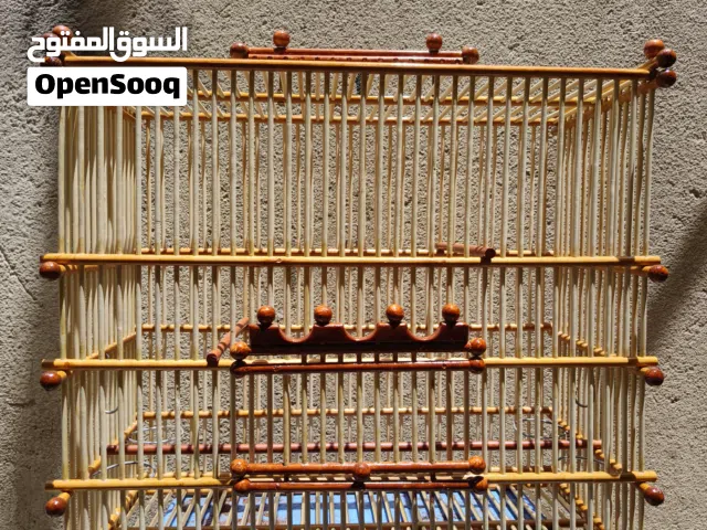 منو الي عندو بلبل مدلل اقرة الوصف