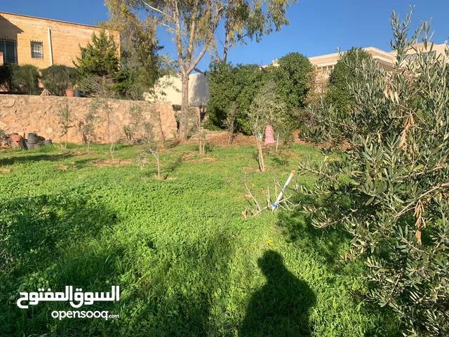 More than 6 bedrooms Farms for Sale in Jerash Tal Al-Rumman