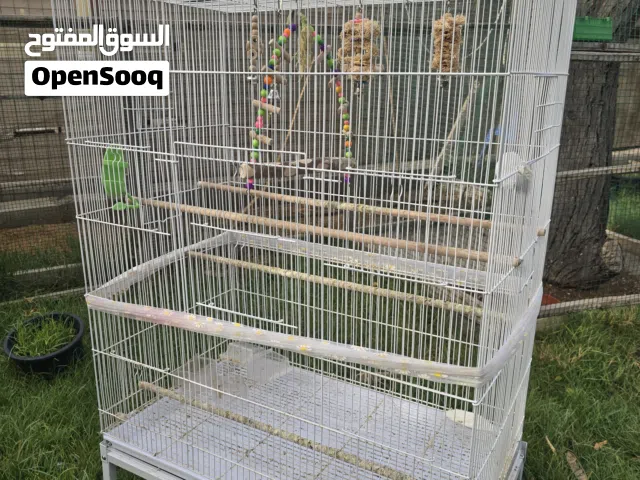 Big cage sale
