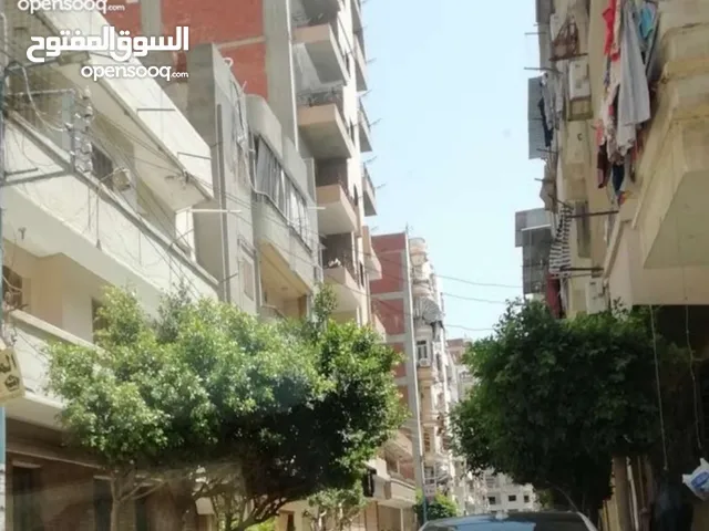 122m2 2 Bedrooms Apartments for Rent in Mansoura Toreel Area