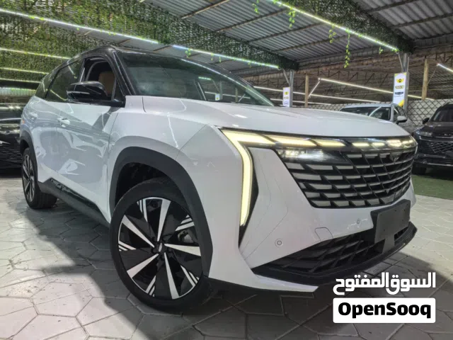 2025 جيلي ستار راي GF