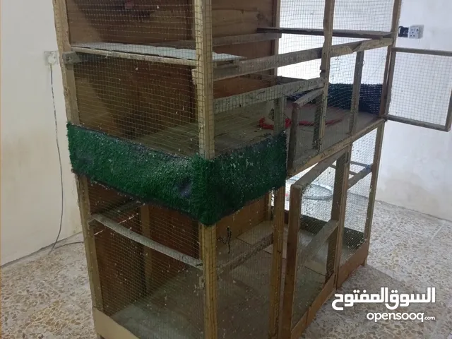 متاح قفص جبير