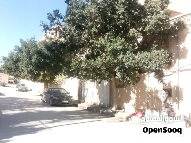 احمد الشافعي