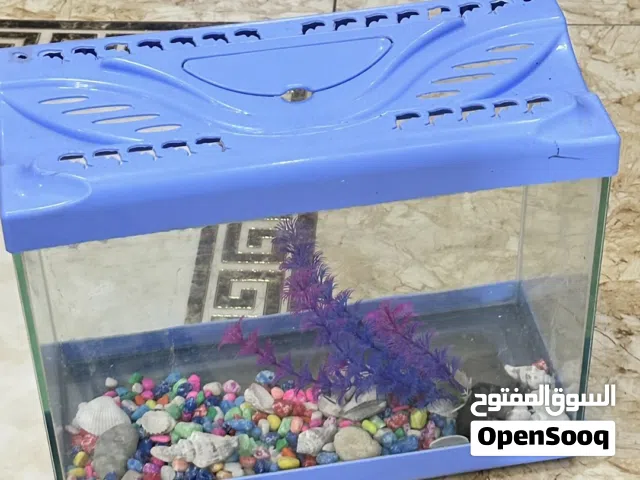حوض سمك ربي يبارك