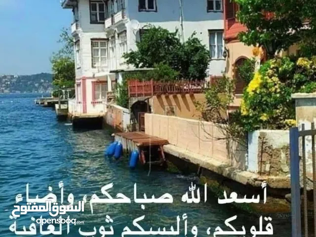 صقر