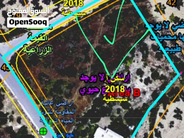 Mixed Use Land for Sale in Nablus Sebastia