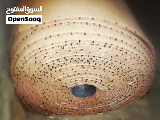 لفة بساط بن وليد