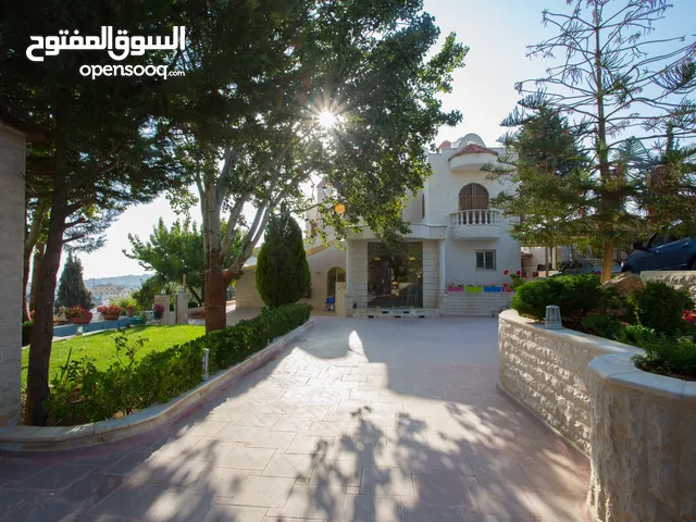 500 m2 5 Bedrooms Villa for Sale in Salt Shafa Al-Amriya
