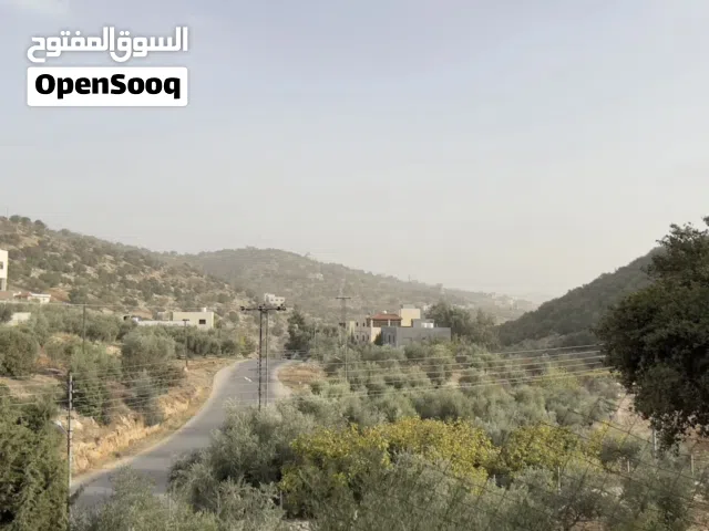 قطعة ارض مكونة من دونمان • مطله وموجوده في موقع مميز • مفروزه دونمان في بدر الجديدة من المالك مباشرة