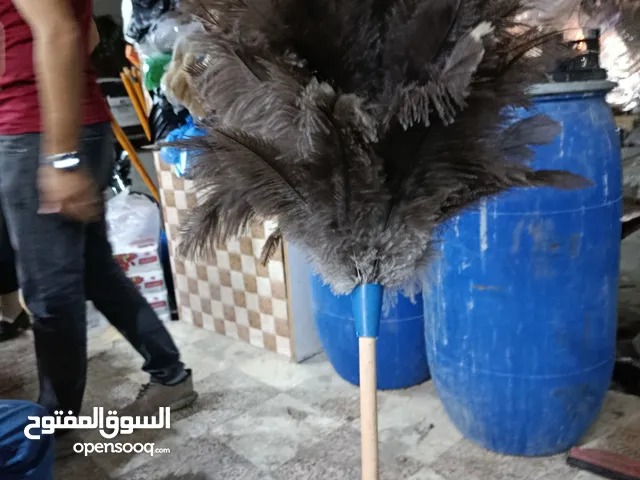 ورشة النور لصناعة النفاضات ريش النعام جميع الاشكال والالوان