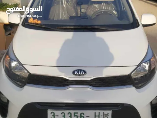Used Kia Picanto in Jericho